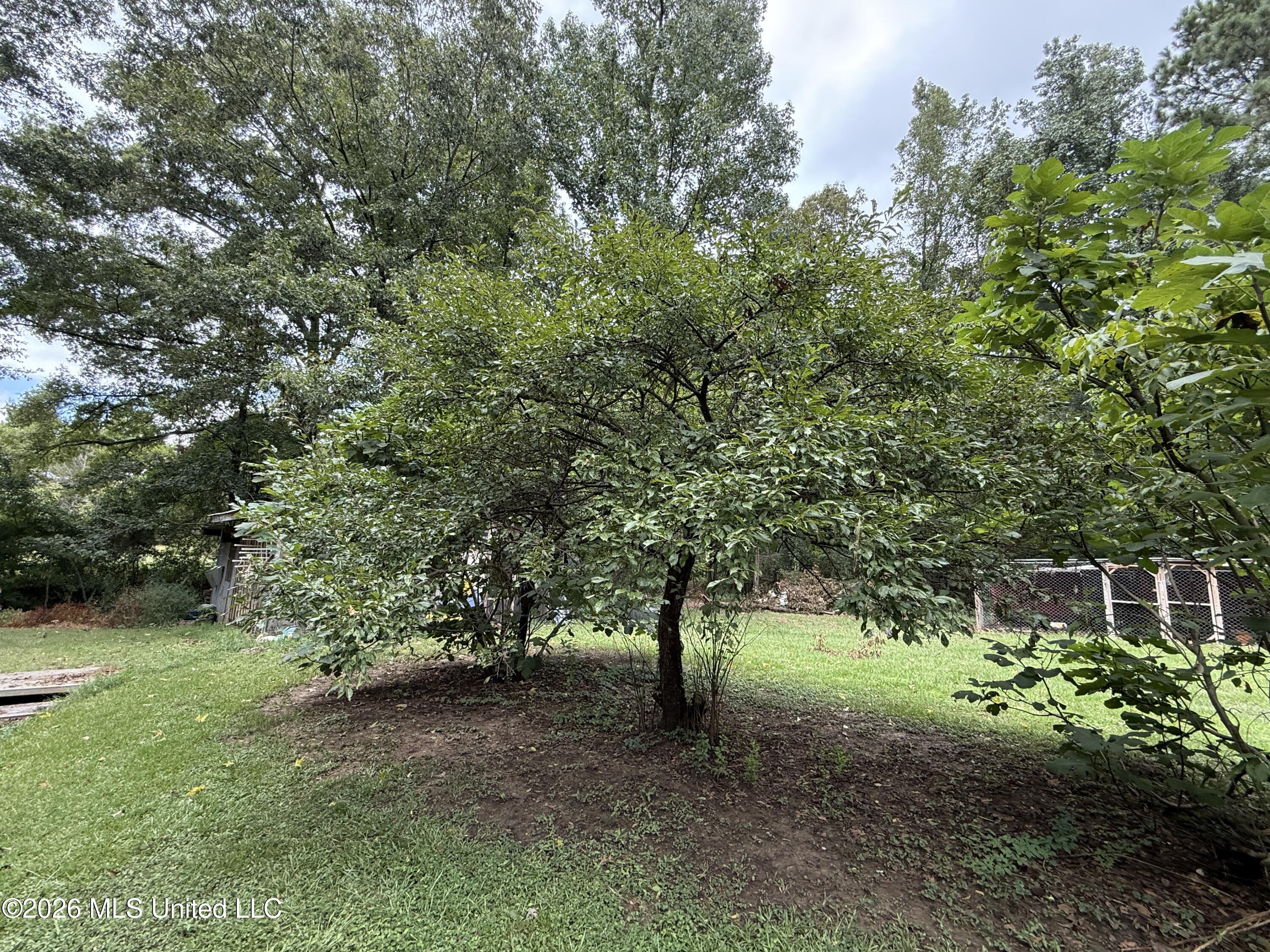 411 Drysdale Road Carthage, MS 39051 - Photo 30 of 39 IMG_6795