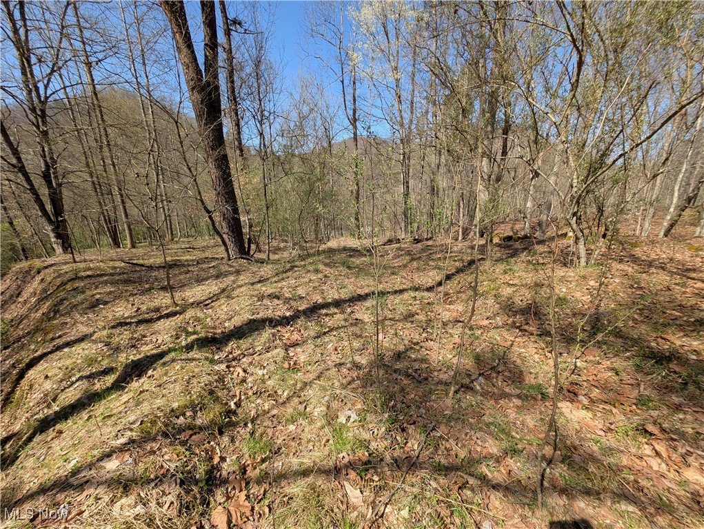Rush Run Road Arnoldsburg, WV 25234 - Photo 11 of 11 Gallery Image 11