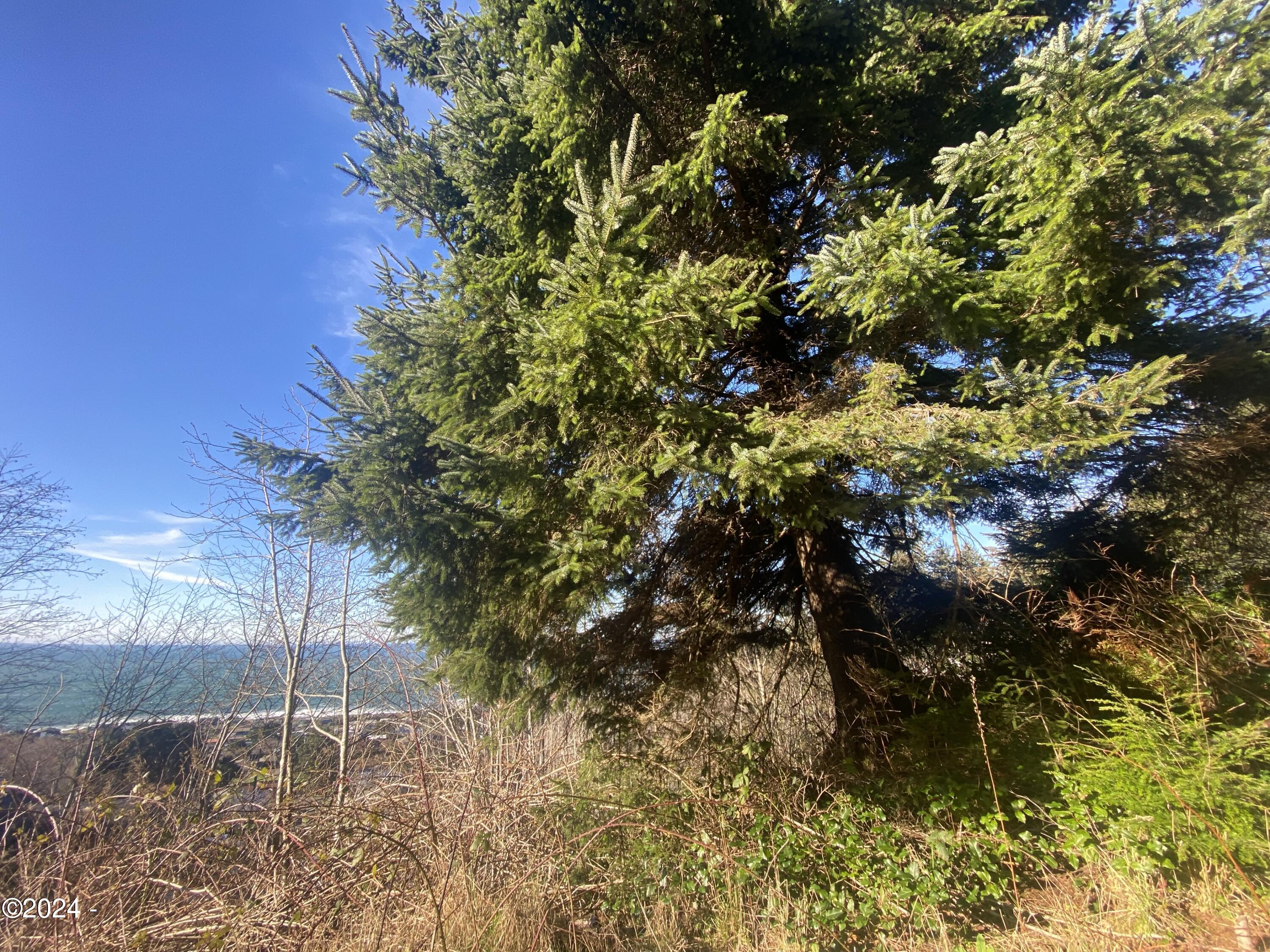 2400 Elk Mountain Road Yachats, OR 97498 - Photo 7 of 11 Top view to North