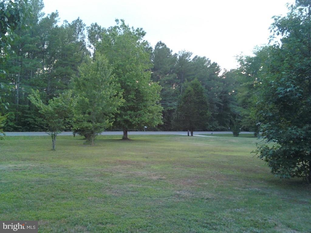 3119 Stockton Road Pocomoke City, MD 21851 - Photo 3 of 9 Gallery Image 3