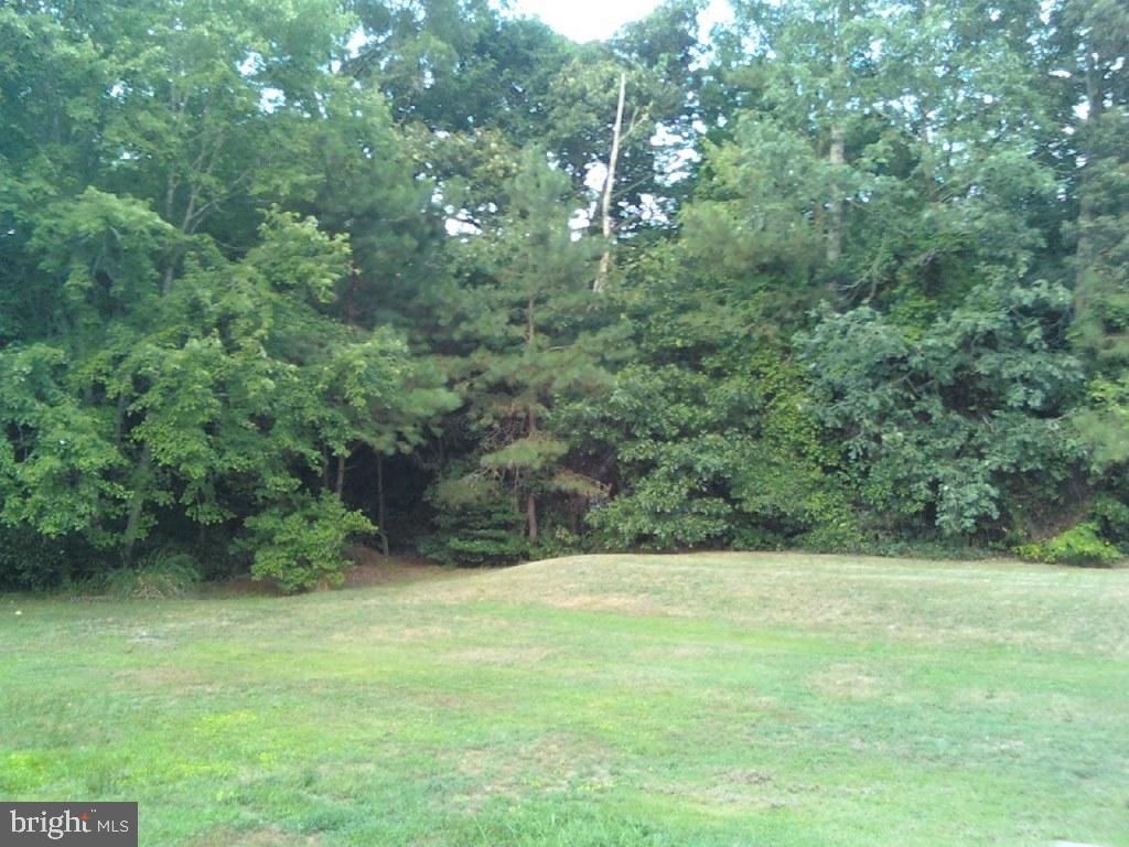 3119 Stockton Road Pocomoke City, MD 21851 - Photo 8 of 9 Gallery Image 8
