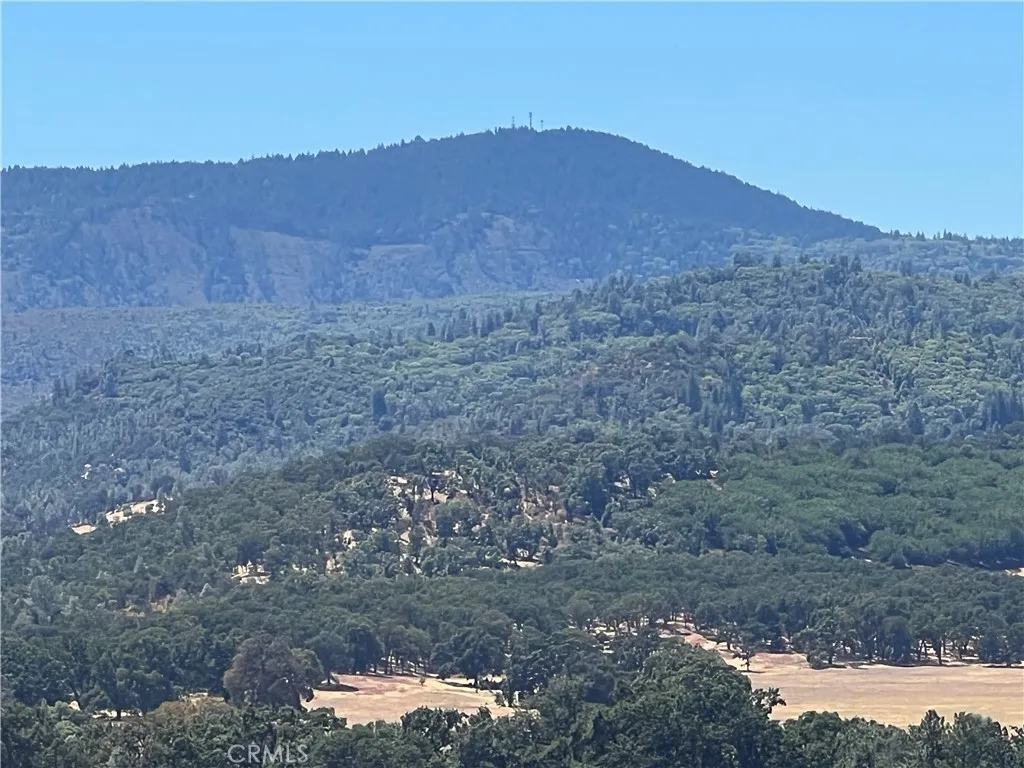 14155 5th Clearlake, CA 95422 - Photo 9 of 10 a view of a dry yard with green space