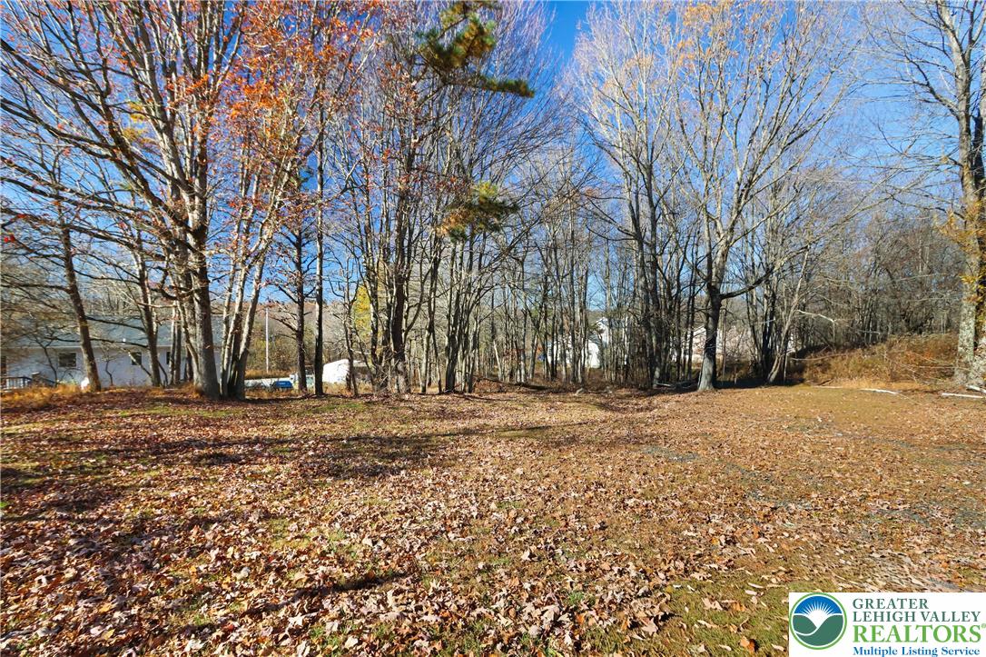 798 Sullivan Trail Scotrun, PA 18355 - Photo 39 of 46 a view of a yard with trees
