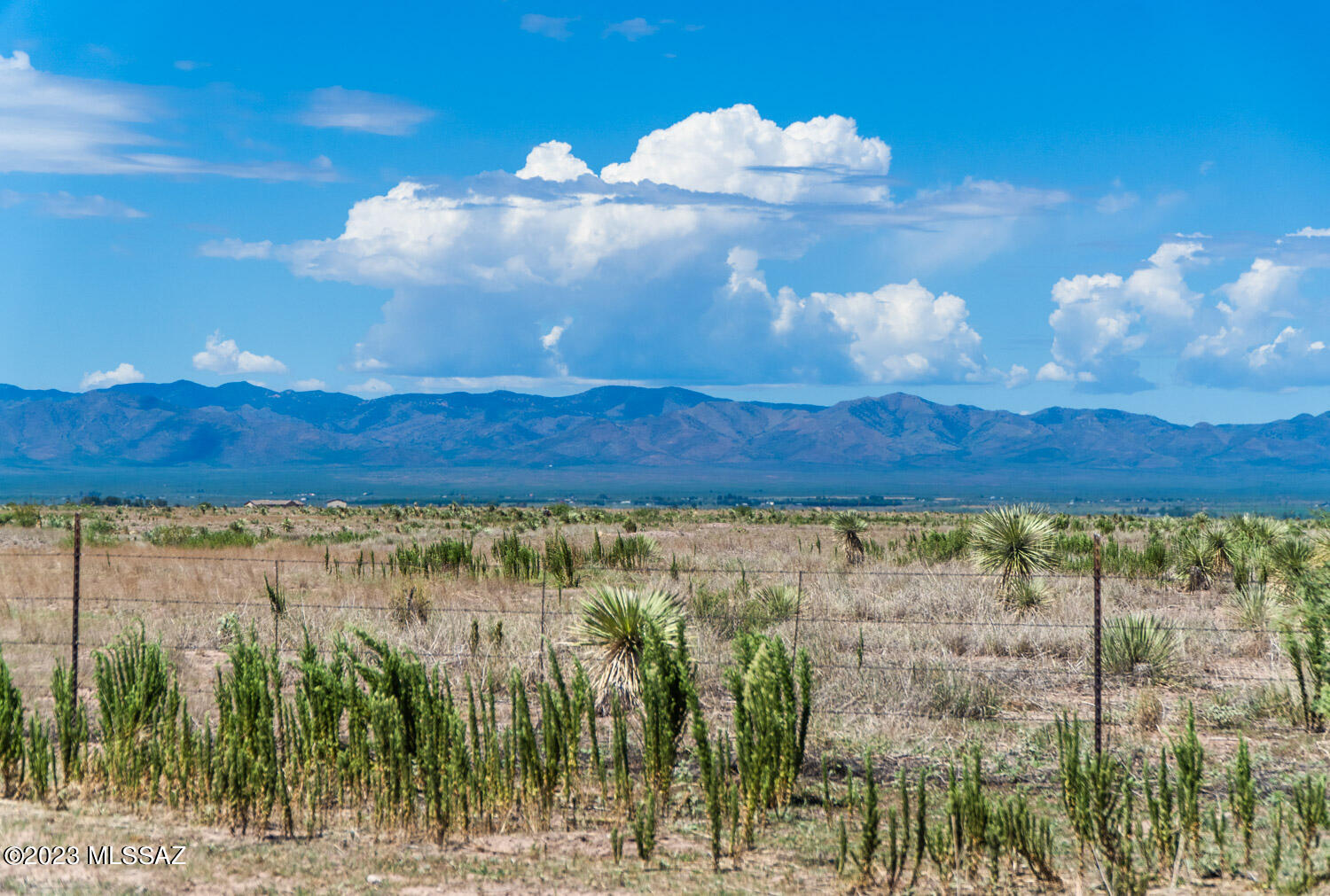 40-acres North Ee Ranch Road, Unit 2913 McNeal, AZ 85617 - Photo 5 of 14 Gallery Image 5