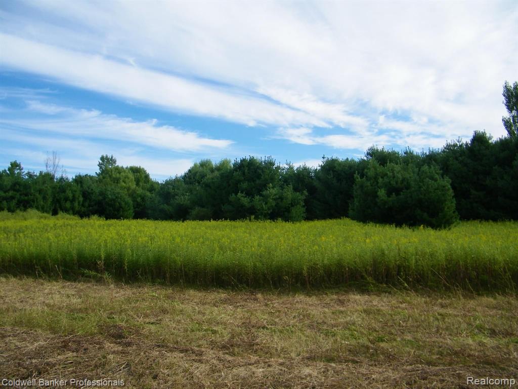 Vacant East Bevens Road Caro, MI 48723 - Photo 5 of 12