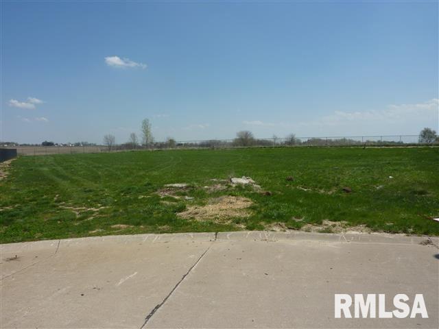 1220 Rustic View Court Eldridge, IA 52748 - Photo 3 of 7 Gallery Image 3