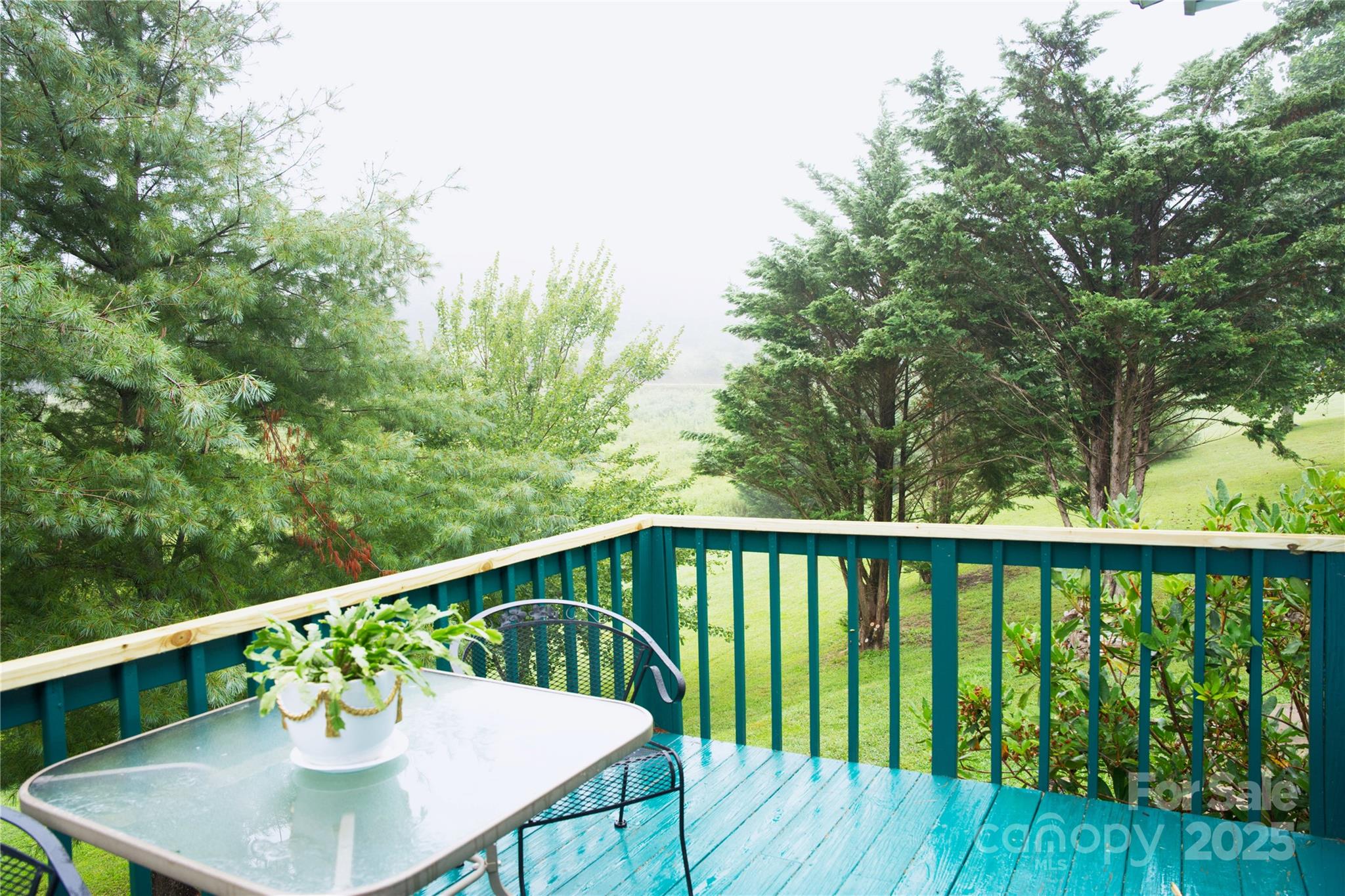 3372 Summer Road Hendersonville, NC 28792 - Photo 9 of 11 a view of a balcony with furniture