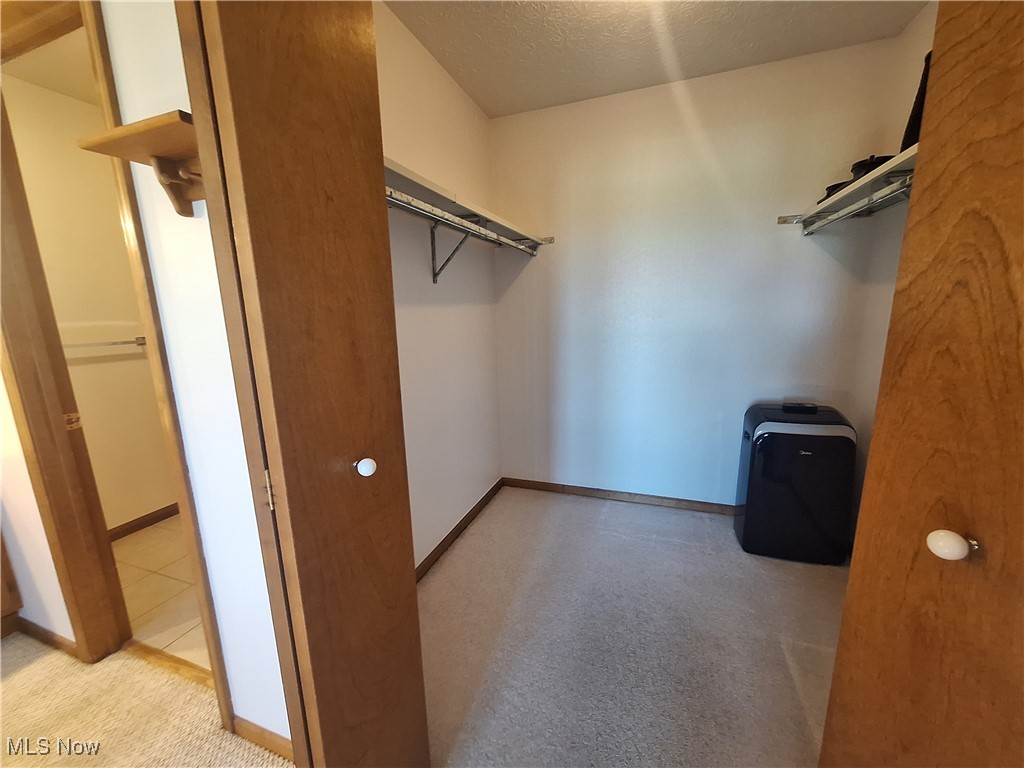 280 Jones Road Wellington, OH 44090 - Photo 9 of 20 Main bedroom walk in closet