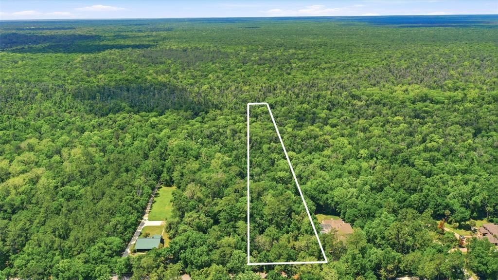 Delk Road Longwood, FL 32779 - Photo 10 of 13 Gallery Image 10