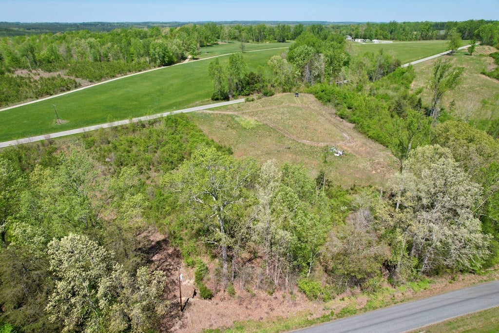 0 Red House Road White Plains, VA 23893 - Photo 17 of 21 Gallery Image 17