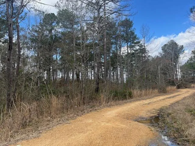 $130,000 | 1089 Guynes Lane, Crystal Springs, MS 39059
