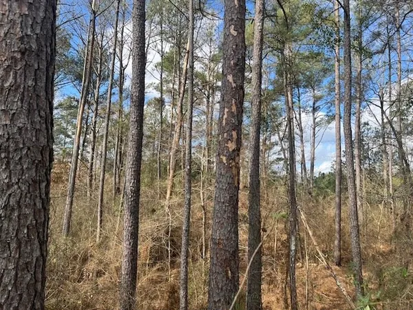 $130,000 | 1089 Guynes Lane, Crystal Springs, MS 39059