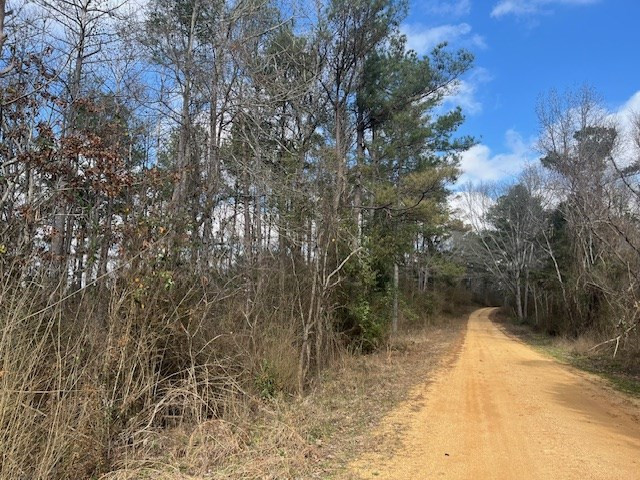 1089 Guynes Lane Crystal Springs, MS 39059 - Photo 12 of 18 Photo 12