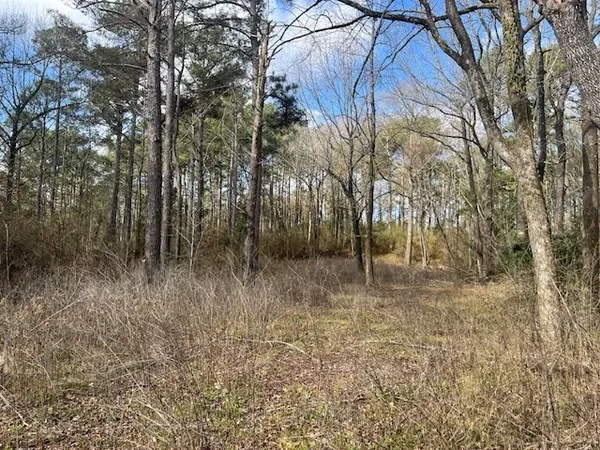 $130,000 | 1089 Guynes Lane, Crystal Springs, MS 39059