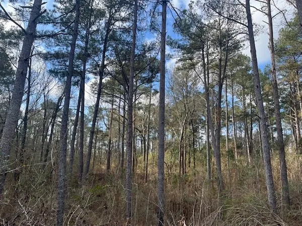 $130,000 | 1089 Guynes Lane, Crystal Springs, MS 39059