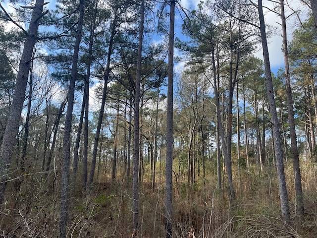 1089 Guynes Lane Crystal Springs, MS 39059 - Photo 16 of 18 Photo 16