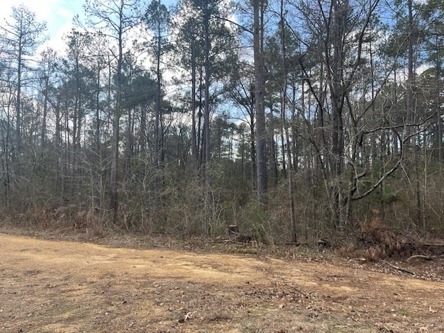 1089 Guynes Lane Crystal Springs, MS 39059 - Photo 17 of 18 Photo 17