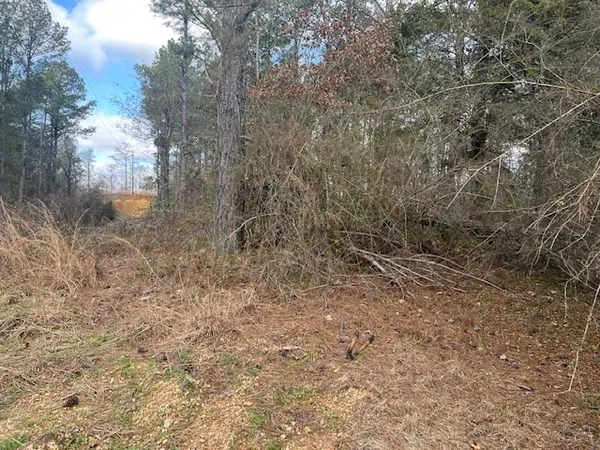 $130,000 | 1089 Guynes Lane, Crystal Springs, MS 39059