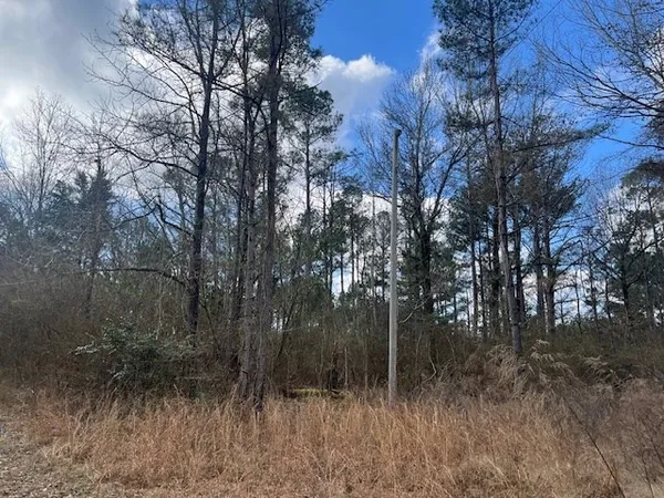 $130,000 | 1089 Guynes Lane, Crystal Springs, MS 39059