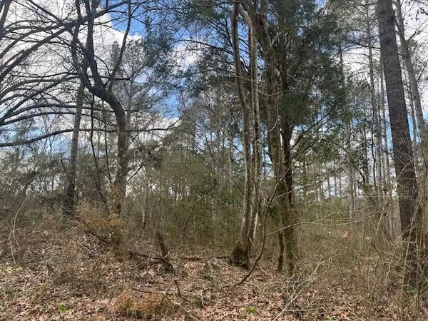 $130,000 | 1089 Guynes Lane, Crystal Springs, MS 39059