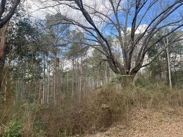 $130,000 | 1089 Guynes Lane, Crystal Springs, MS 39059