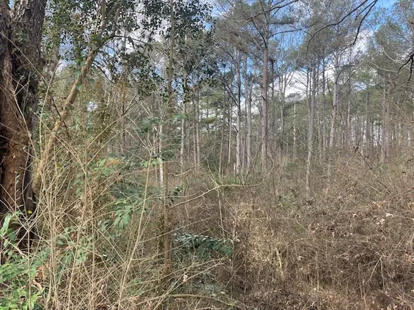 $130,000 | 1089 Guynes Lane, Crystal Springs, MS 39059