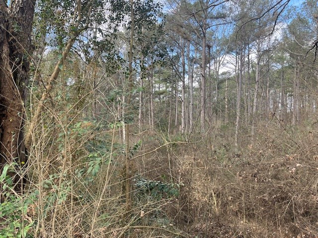 1089 Guynes Lane Crystal Springs, MS 39059 - Photo 8 of 18 Photo 8