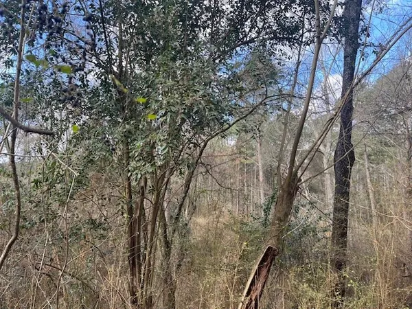 $130,000 | 1089 Guynes Lane, Crystal Springs, MS 39059