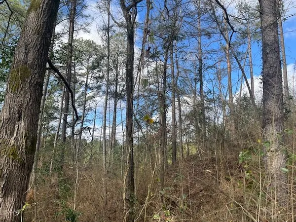 $130,000 | 1089 Guynes Lane, Crystal Springs, MS 39059