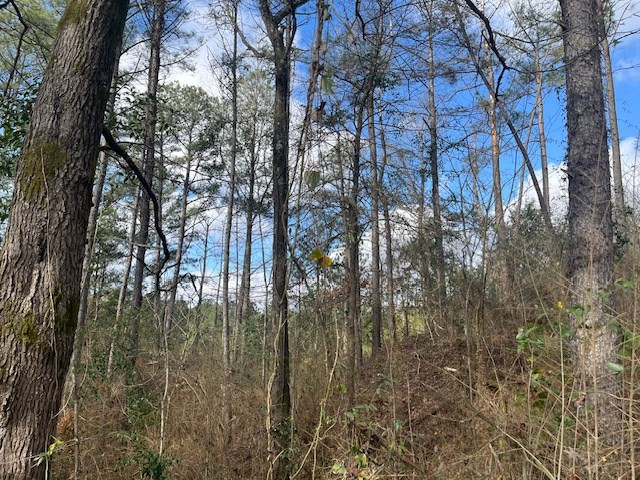 1089 Guynes Lane Crystal Springs, MS 39059 - Photo 10 of 18 Photo 10