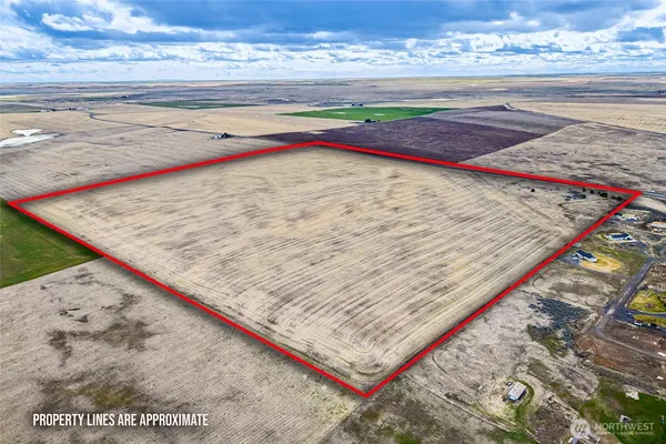 a view of beach and ocean