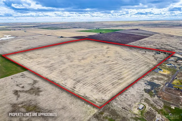 a view of beach and ocean