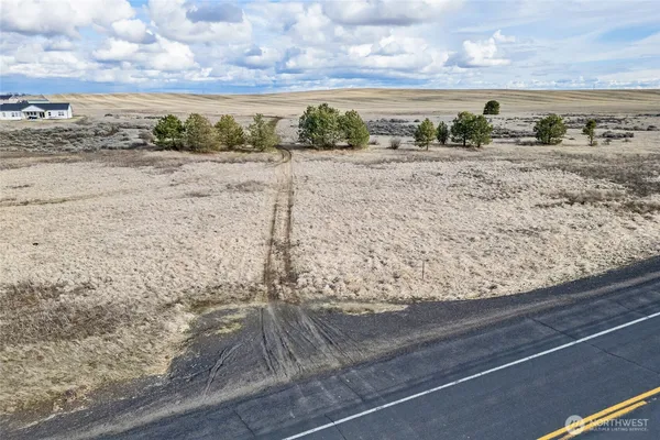 a view of a yard with an ocean beach