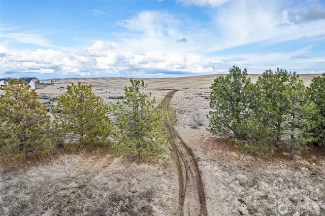 a view of a yard with an ocean