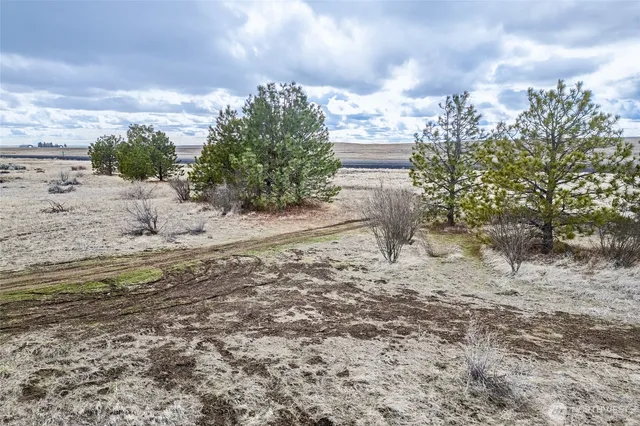 a view of beach and ocean