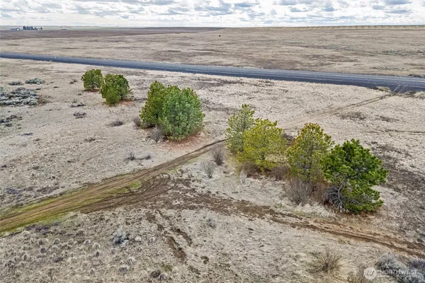 a view of a dry yard with wooden fence