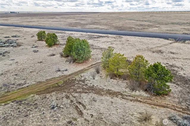 a view of a dry yard with wooden fence