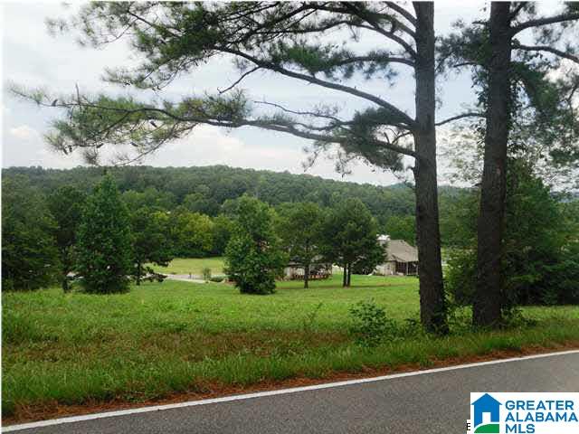 Village Springs Road, Unit 6 Springville, AL 35146 - Photo 3 of 11