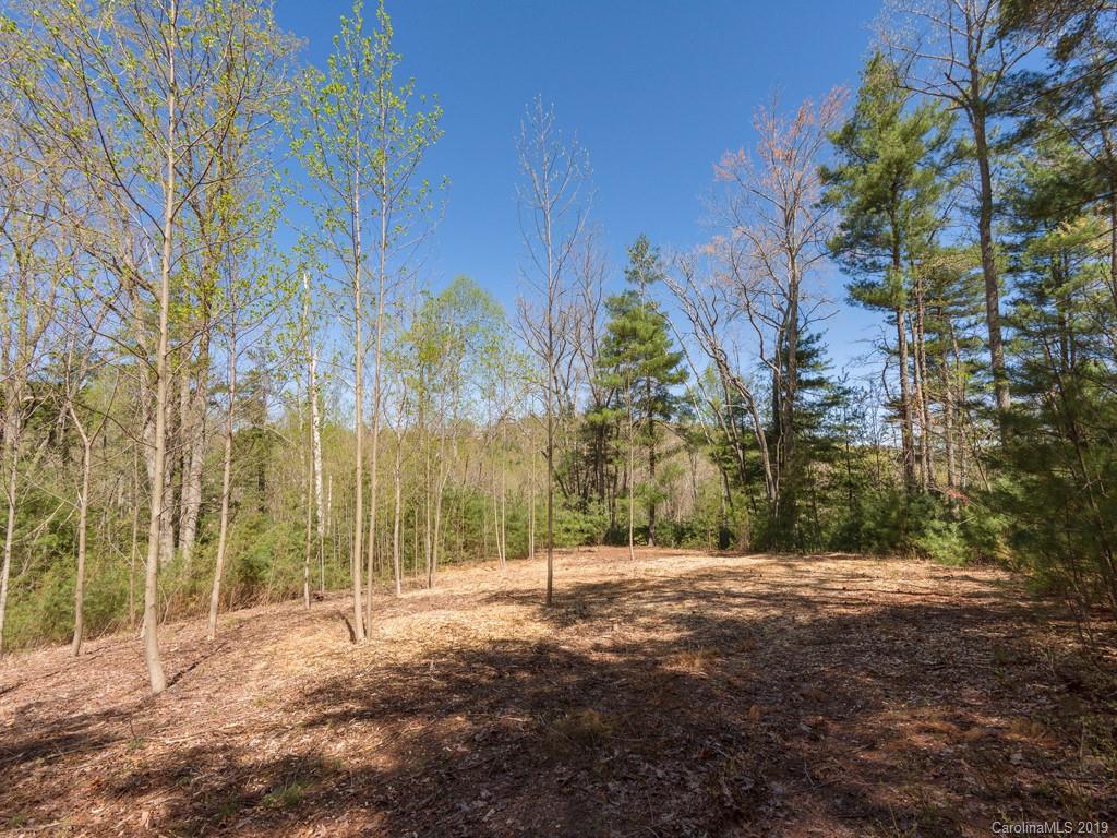 269 Monarch Road Hendersonville, NC 28739 - Photo 2 of 12 Gallery Image 2
