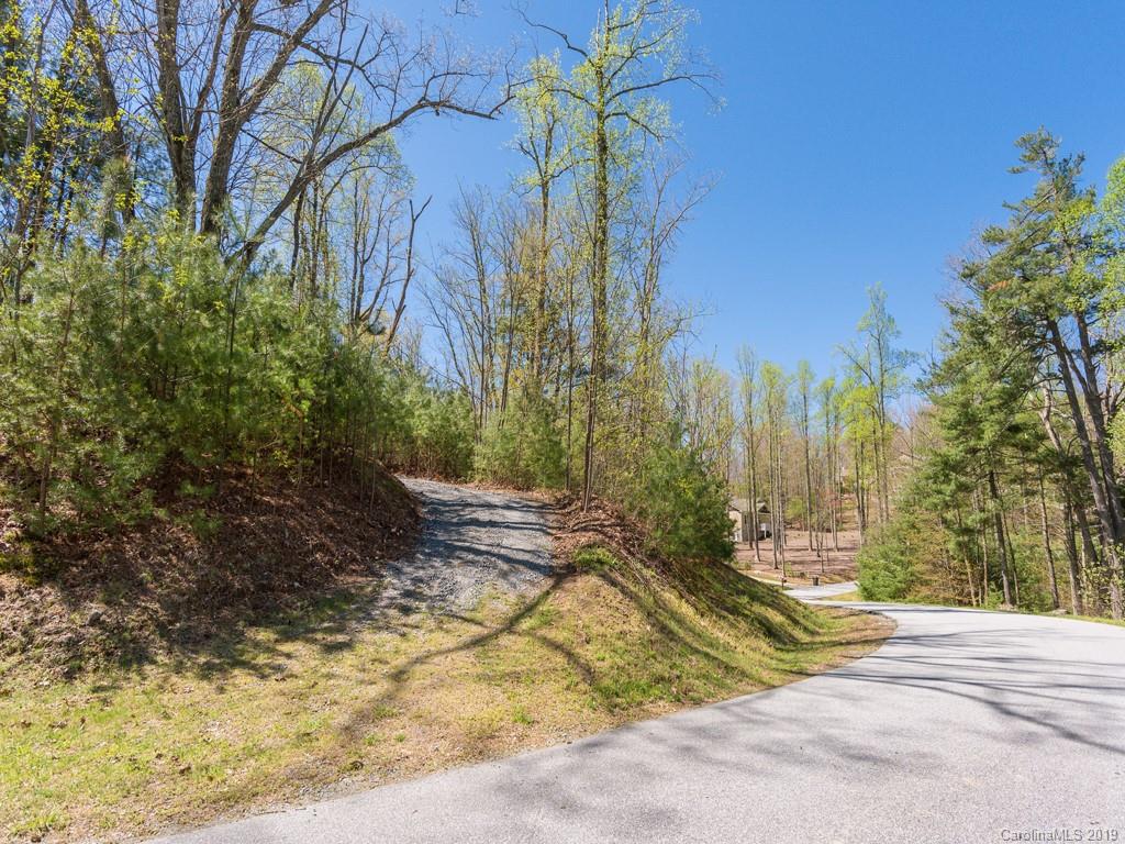 269 Monarch Road Hendersonville, NC 28739 - Photo 3 of 12 Gallery Image 3