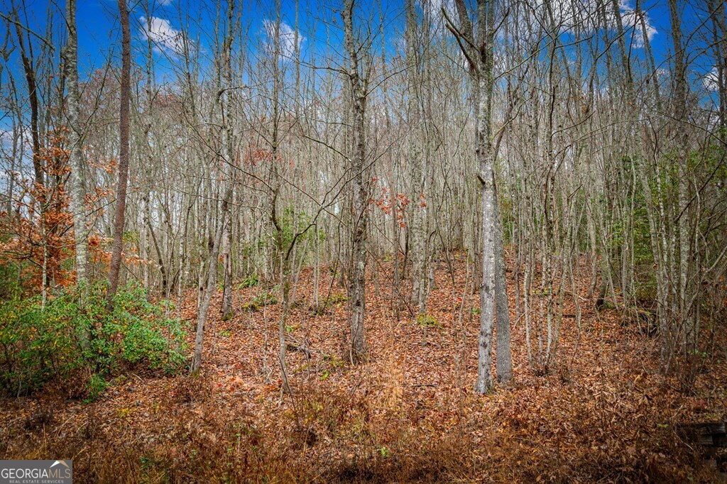 5.97-ac Bullen Gap Road Blue Ridge, GA 30513 - Photo 11 of 11
