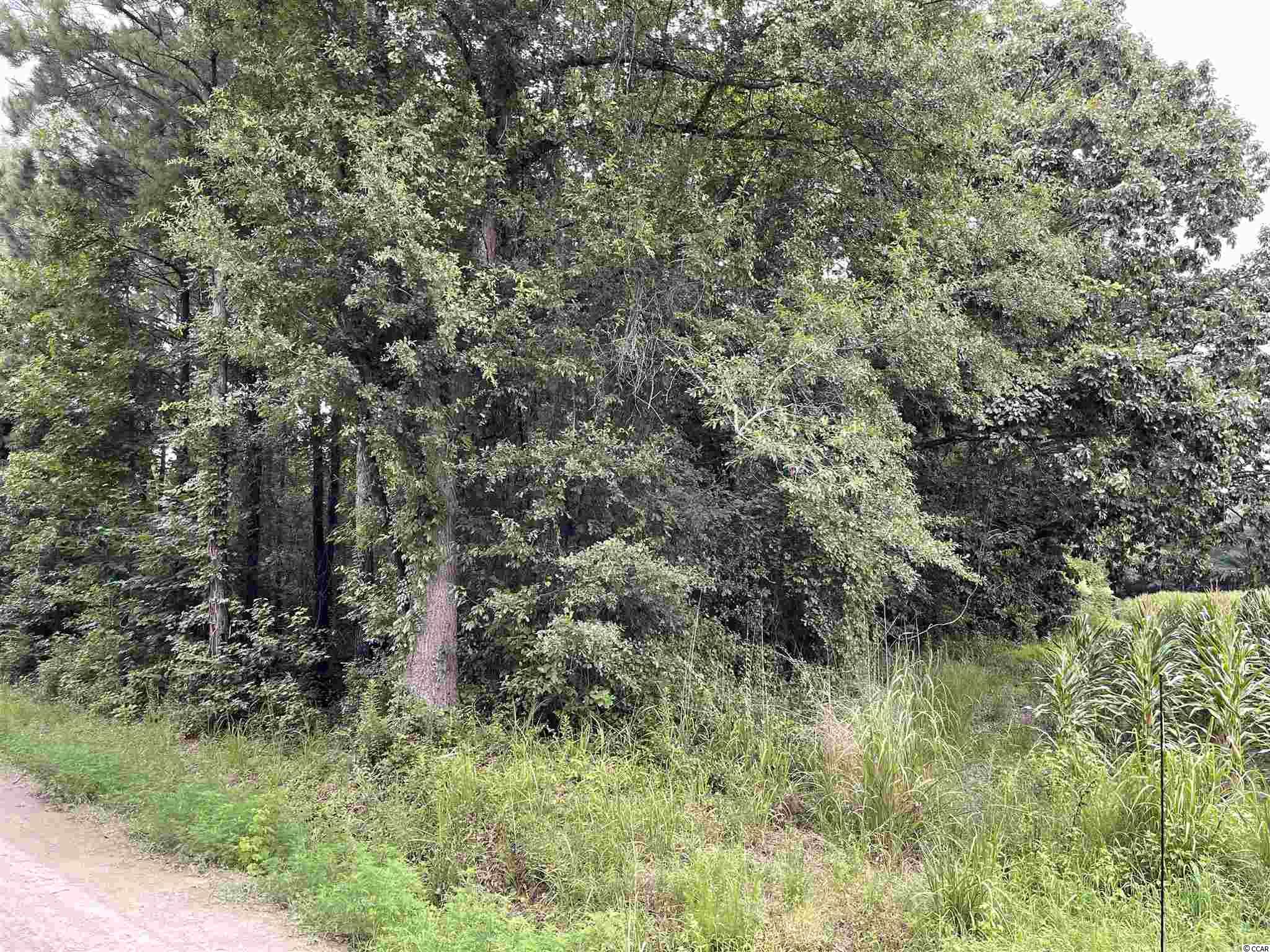 Hagan Rd Green Loris, SC 29569 - Photo 1 of 13 Gallery Image 1