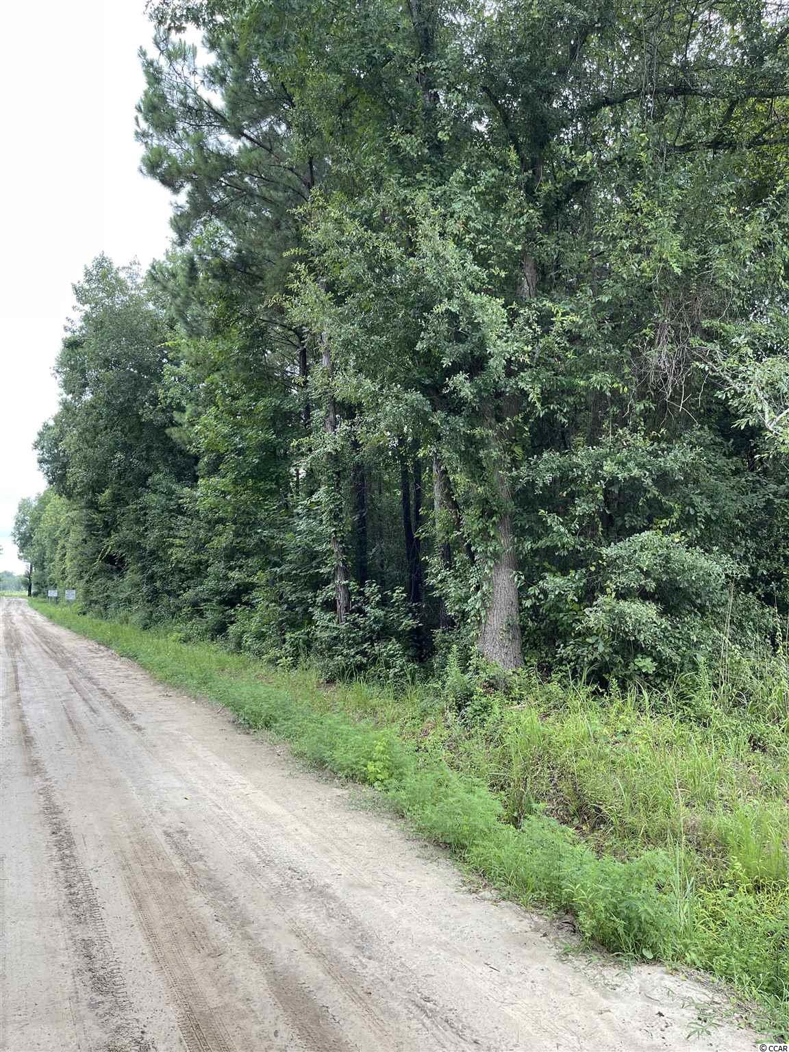 Hagan Rd Green Loris, SC 29569 - Photo 2 of 13 Gallery Image 2
