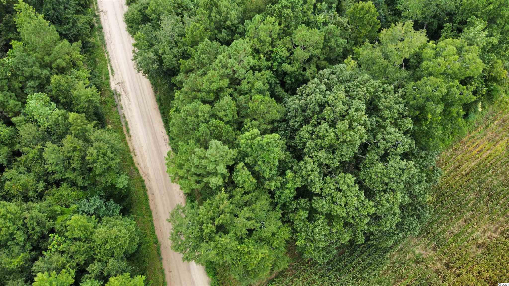 Hagan Rd Green Loris, SC 29569 - Photo 11 of 13 Gallery Image 11