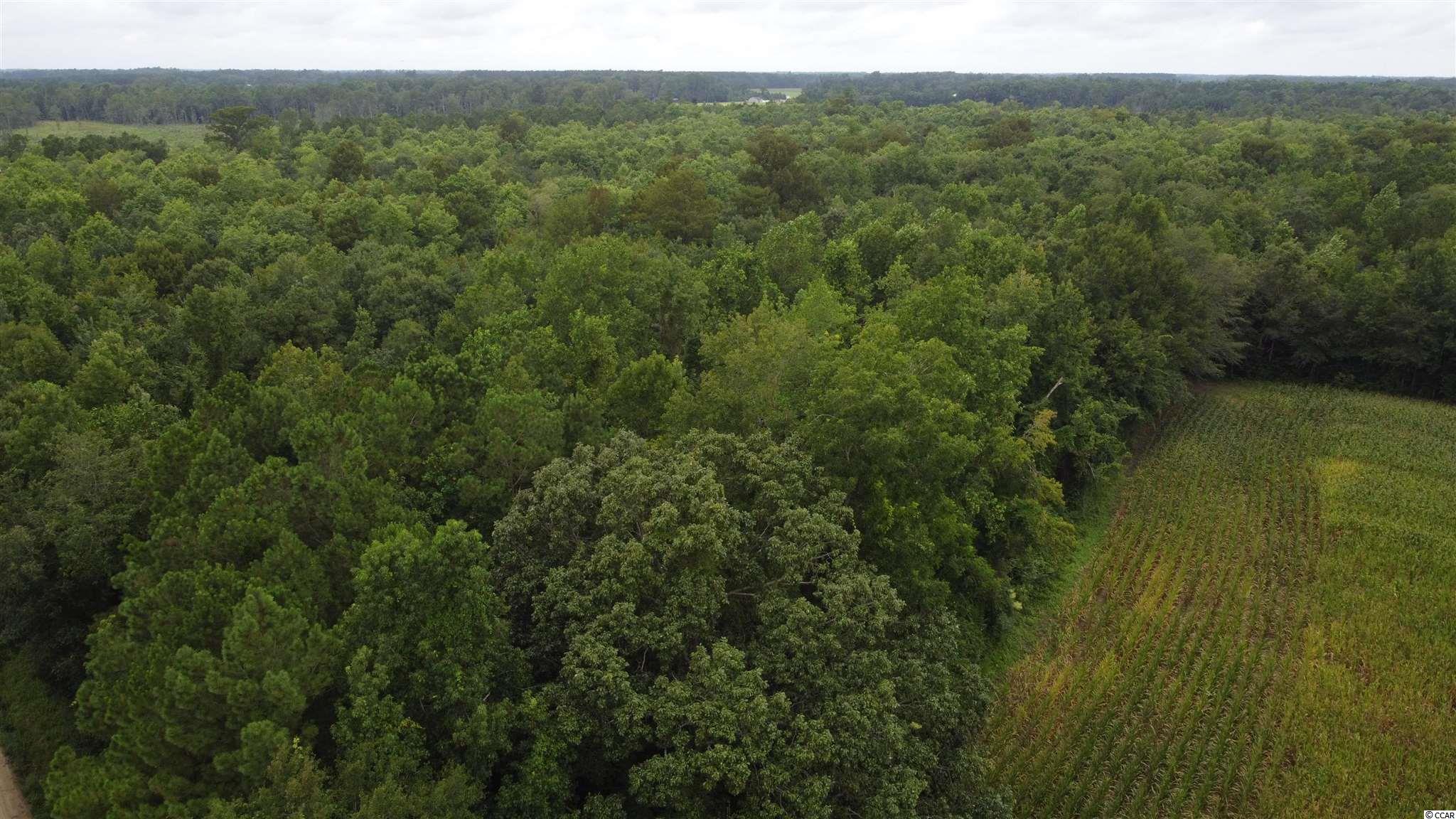 Hagan Rd Green Loris, SC 29569 - Photo 12 of 13 Gallery Image 12