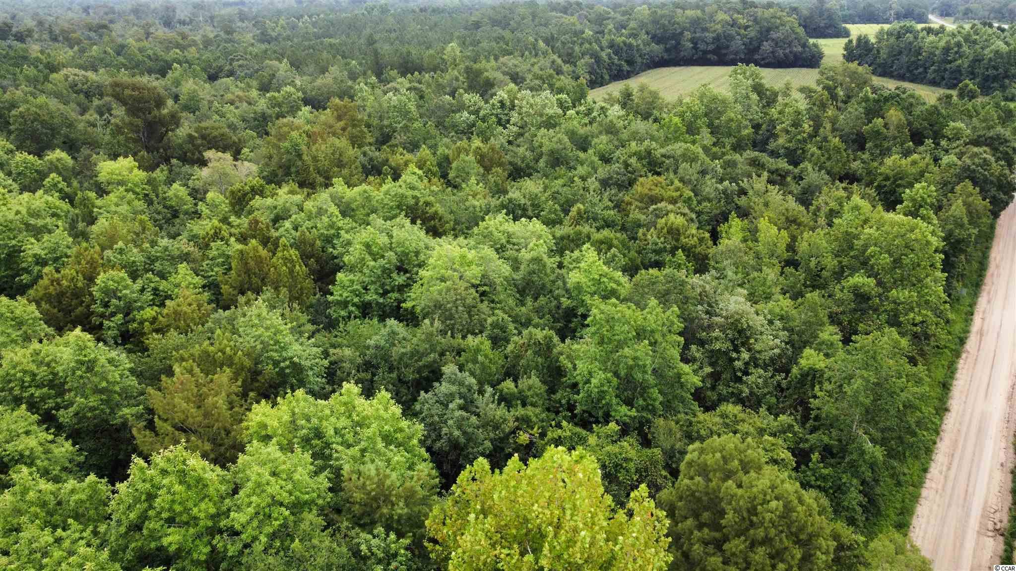 Hagan Rd Green Loris, SC 29569 - Photo 13 of 13 Gallery Image 13