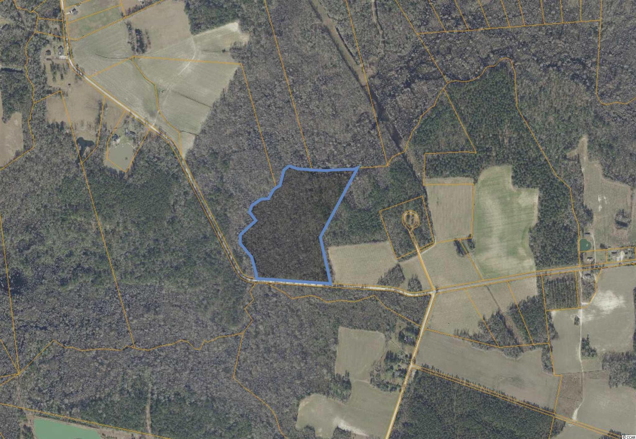 Hagan Rd Green Loris, SC 29569 - Photo 3 of 13 Gallery Image 3