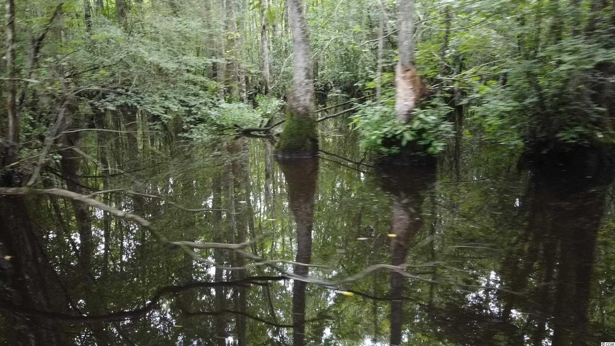 Hagan Rd Green Loris, SC 29569 - Photo 5 of 13 Gallery Image 5