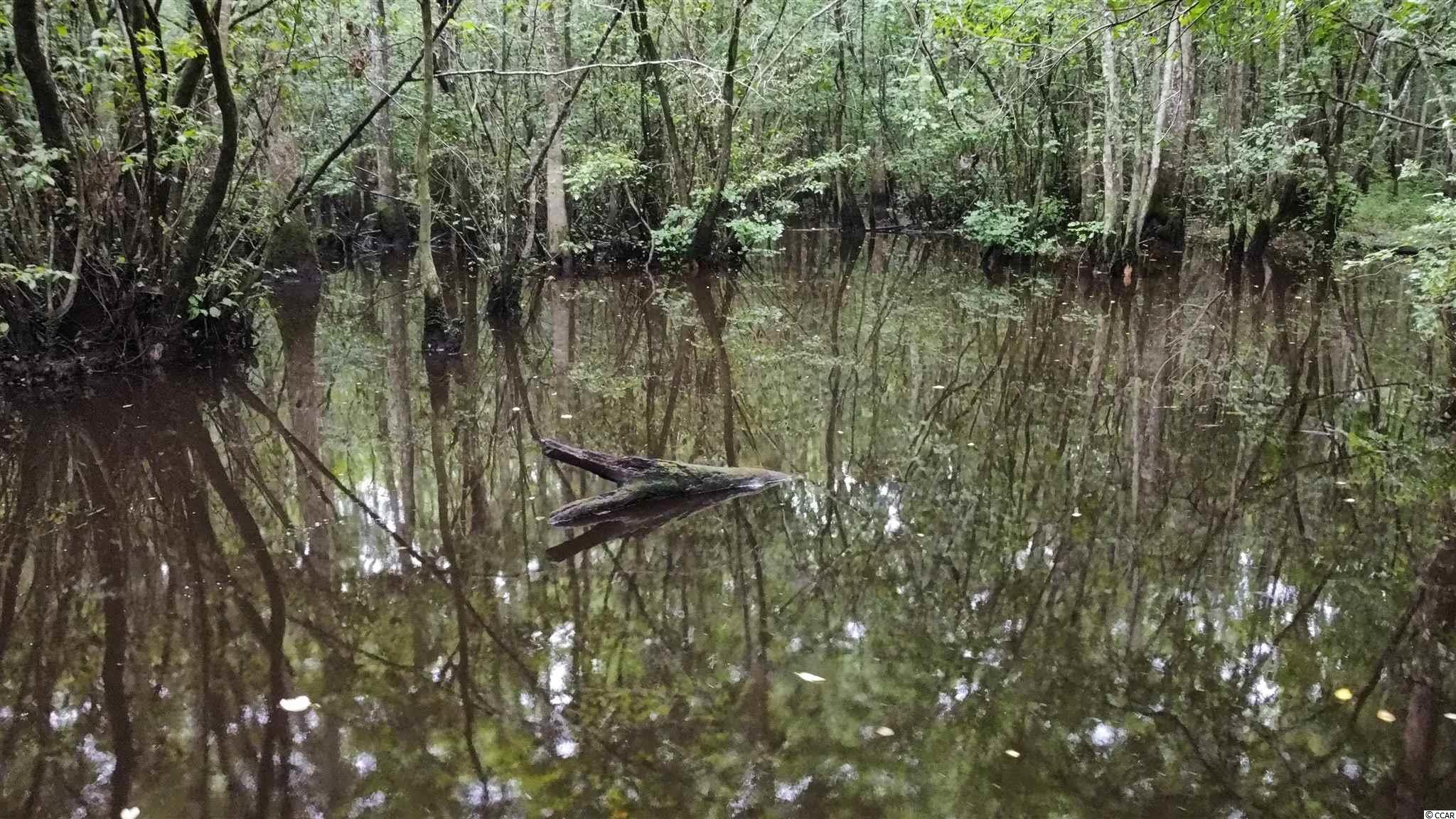 Hagan Rd Green Loris, SC 29569 - Photo 7 of 13 Gallery Image 7