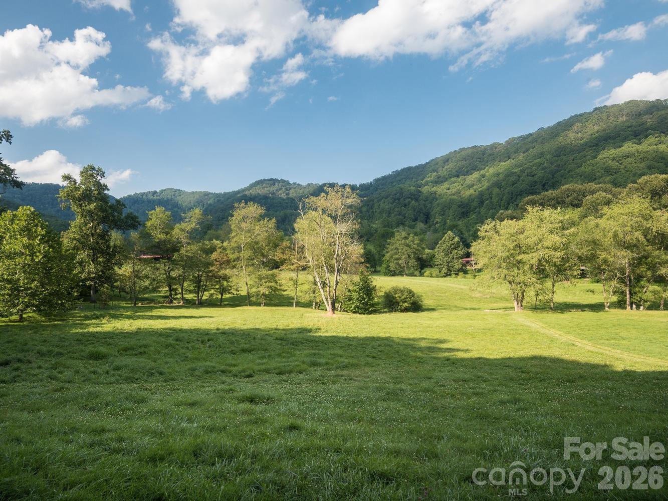 741 Morrow Branch Road Leicester, NC 28748 - Photo 4 of 47 a view of a city with an ocean